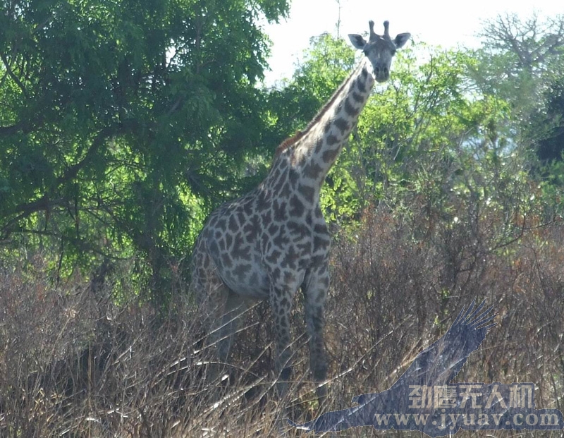 &#27867;&#20122;&#30005;&#31454;&#40;&#20013;&#22269;&#41;&#23448;&#26041;&#32593;&#31449;